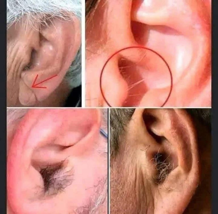 DID YOU KNOW