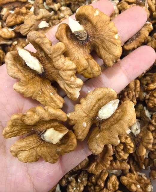 Nutrition Experts Reveal Surprising Health Benefits of Eating Walnuts..