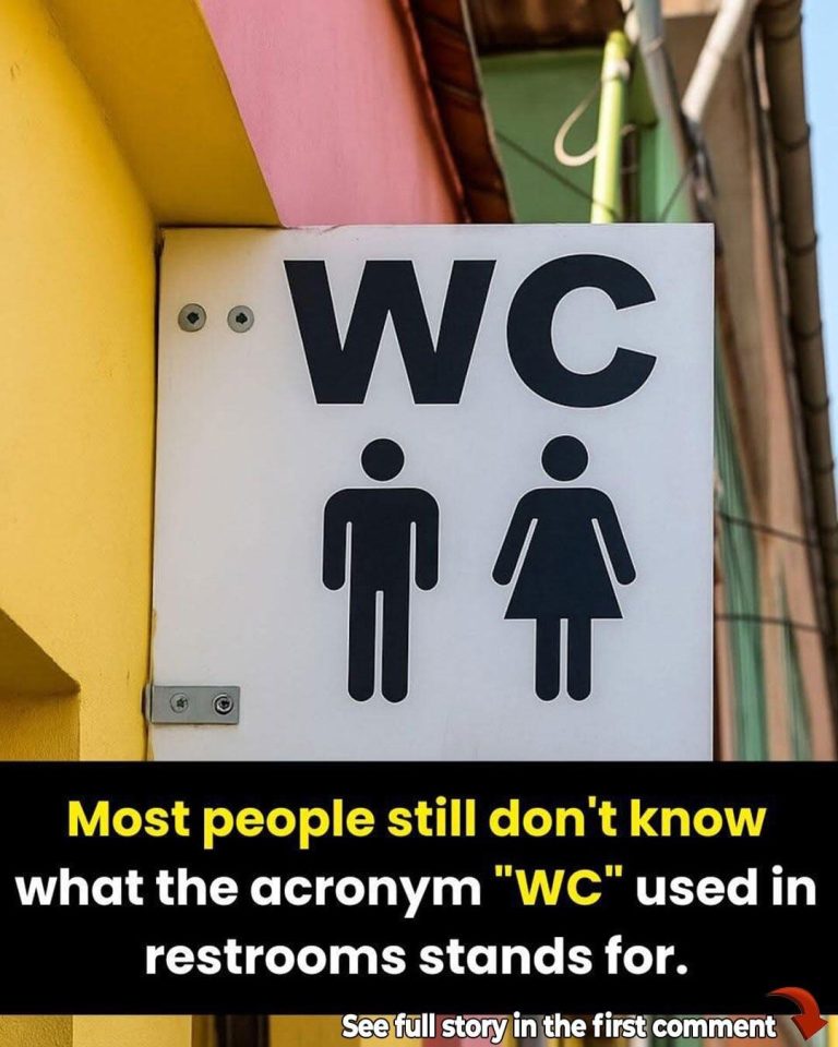 Meaning behind the ‘WC’ sign outside bathrooms.