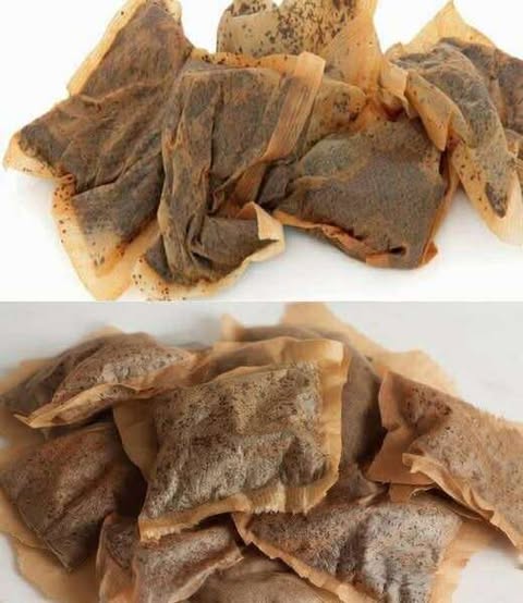 She Never Tosses Old Teabags. Instead, She Plants Them Outside For Reason I Never Expected