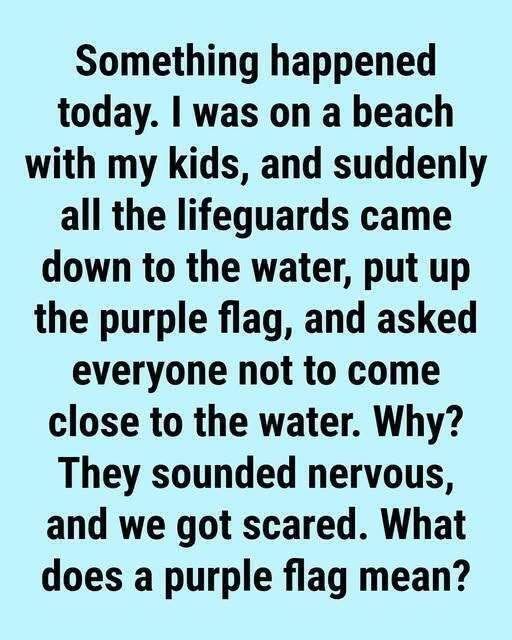 Why You Might See a Purple Flag Flying at the