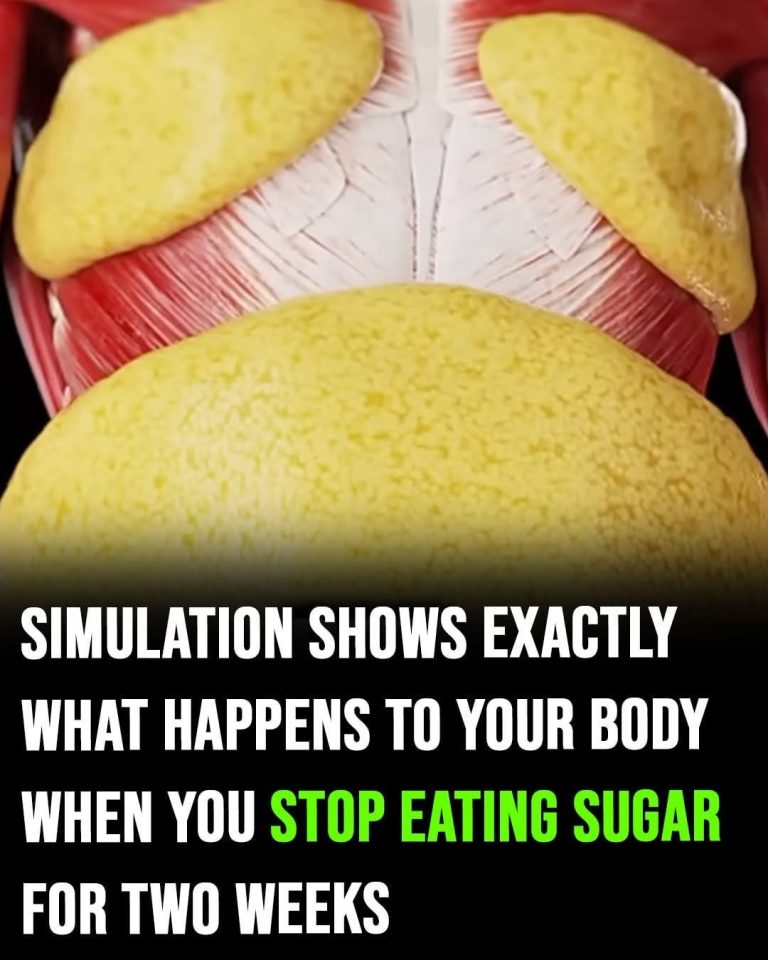 Simulation shows exactly what