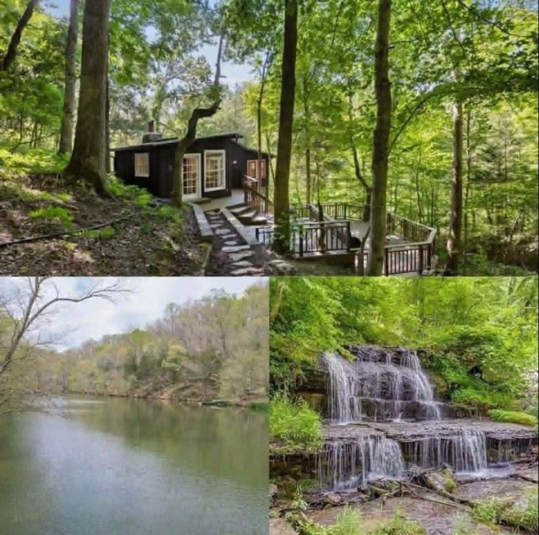 Private Cabin Retreat on Expansive Acreage in Fairview
