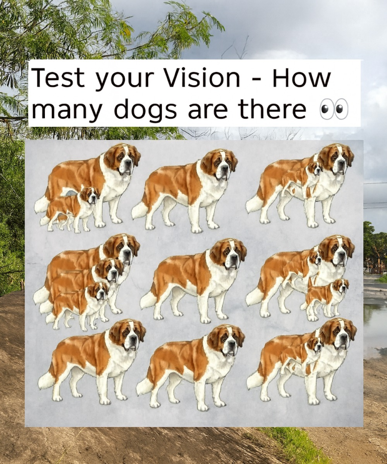 How Many Dogs Can You Find? Put Your Observation to the Test! 