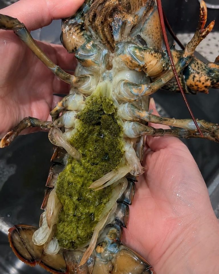 The Mystery of Lobster’s Green Goodies